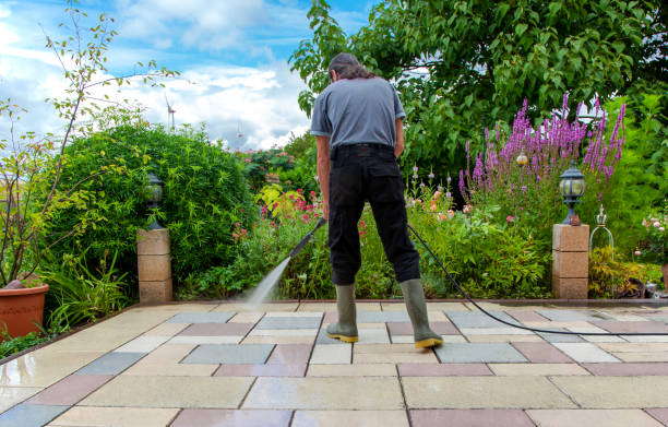 Best Sidewalk and Walkway Cleaning  in South Corning, NY